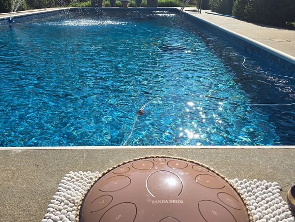 Align . Accelerate . Ascend