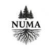 Numa