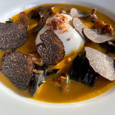Gourmet dish with truffle slices, creamy sauce, and mushrooms.