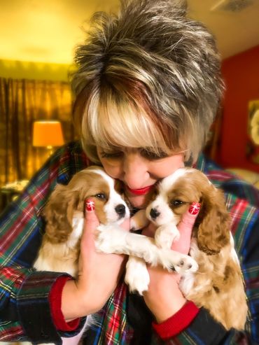 Woman holding Cavalier puppies close to her face