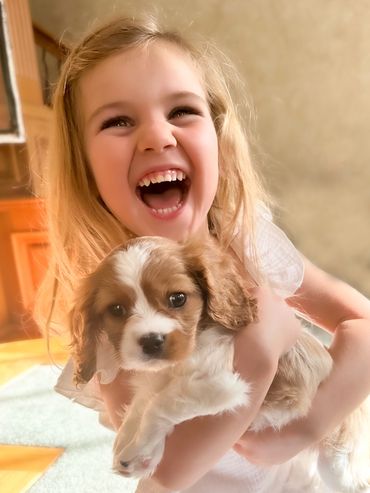 Child laughing while holding Cavaliers puppy