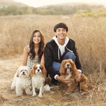 Young boy and girl sitting in a field with three dogs 