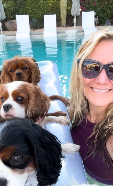 Women smiling in pool with Cavalier dogs 