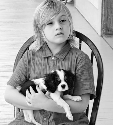 Young boy sitting in chair with Cavalier puppy