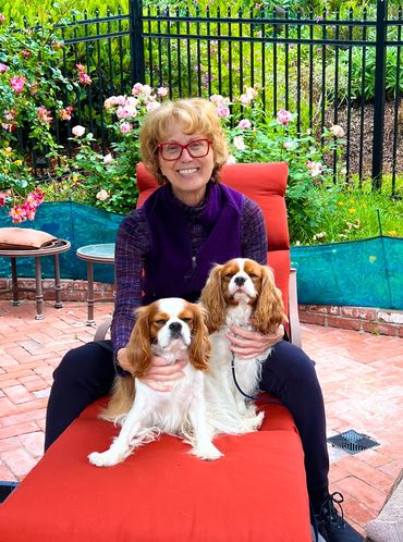 Two Blenheim Cavalier King Charles dogs sitting with a woman outside on the patio