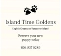 Island Time Goldens 

604-837-0289
