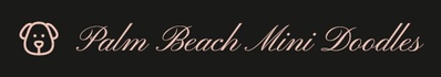 Palm Beach Mini Doodles