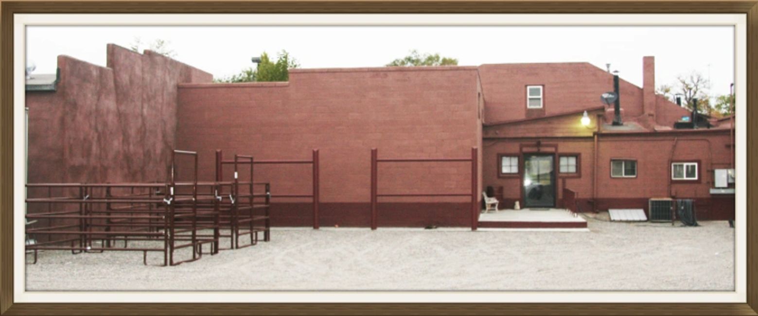 Horse Dentistry Equine Dentistry School, Horse Dentistry School