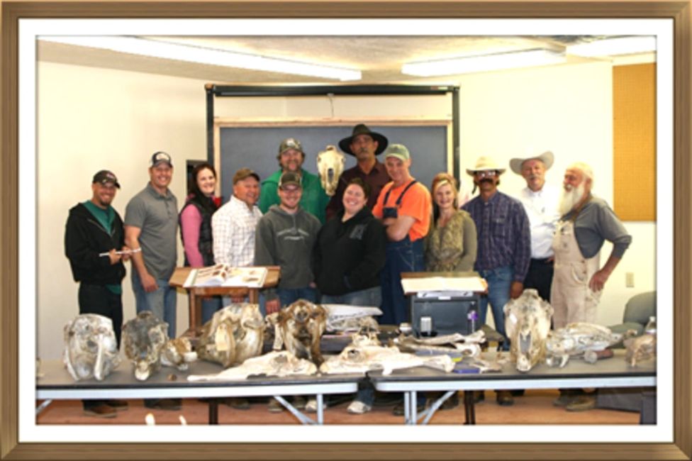 Horse Dentistry Equine Dentistry School, Horse Dentistry School