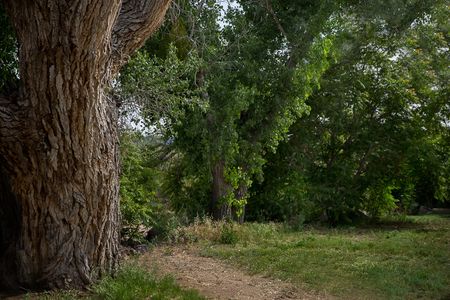 View from RV space at Rancho Vida RV Park in Kirkland Arizona