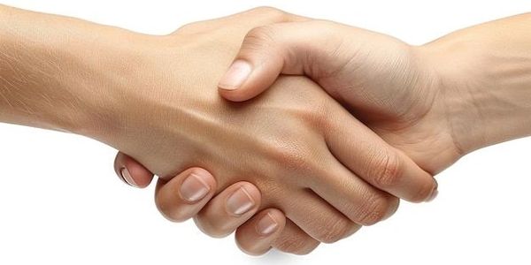 Two hands engaging in a handshake symbolizing agreement or greeting.