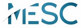ME Strategic Consulting, LLC