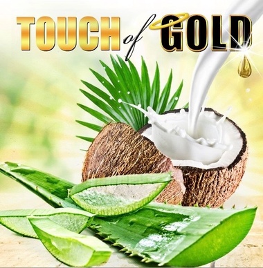 Touch of Gold Ministries