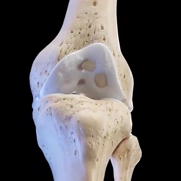 https://img1.wsimg.com/isteam/ip/998cb03a-10bd-49b9-bd4e-f6f26a67c660/thumbnails/thumbnail-be4e677e-8528-4379-9a40-c914a561886e.png
