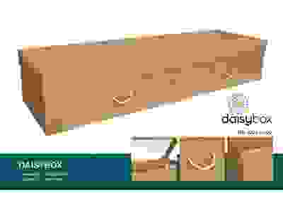 Daisybox, eco-friendly cardboard Coffin