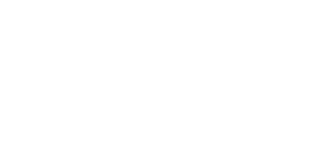 VIP VEGAS TRIPS