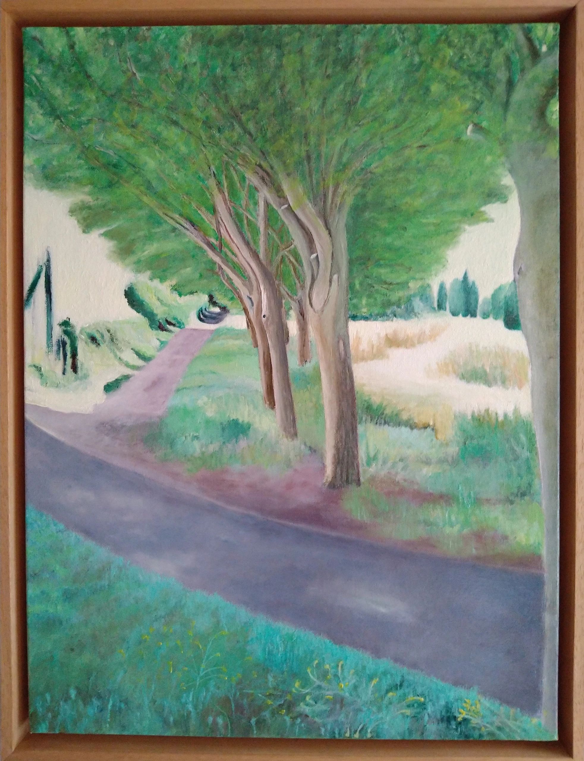 Walthamstow Marshes early August ‘22. Trees in perspective with tow to paths - one in the foreground
