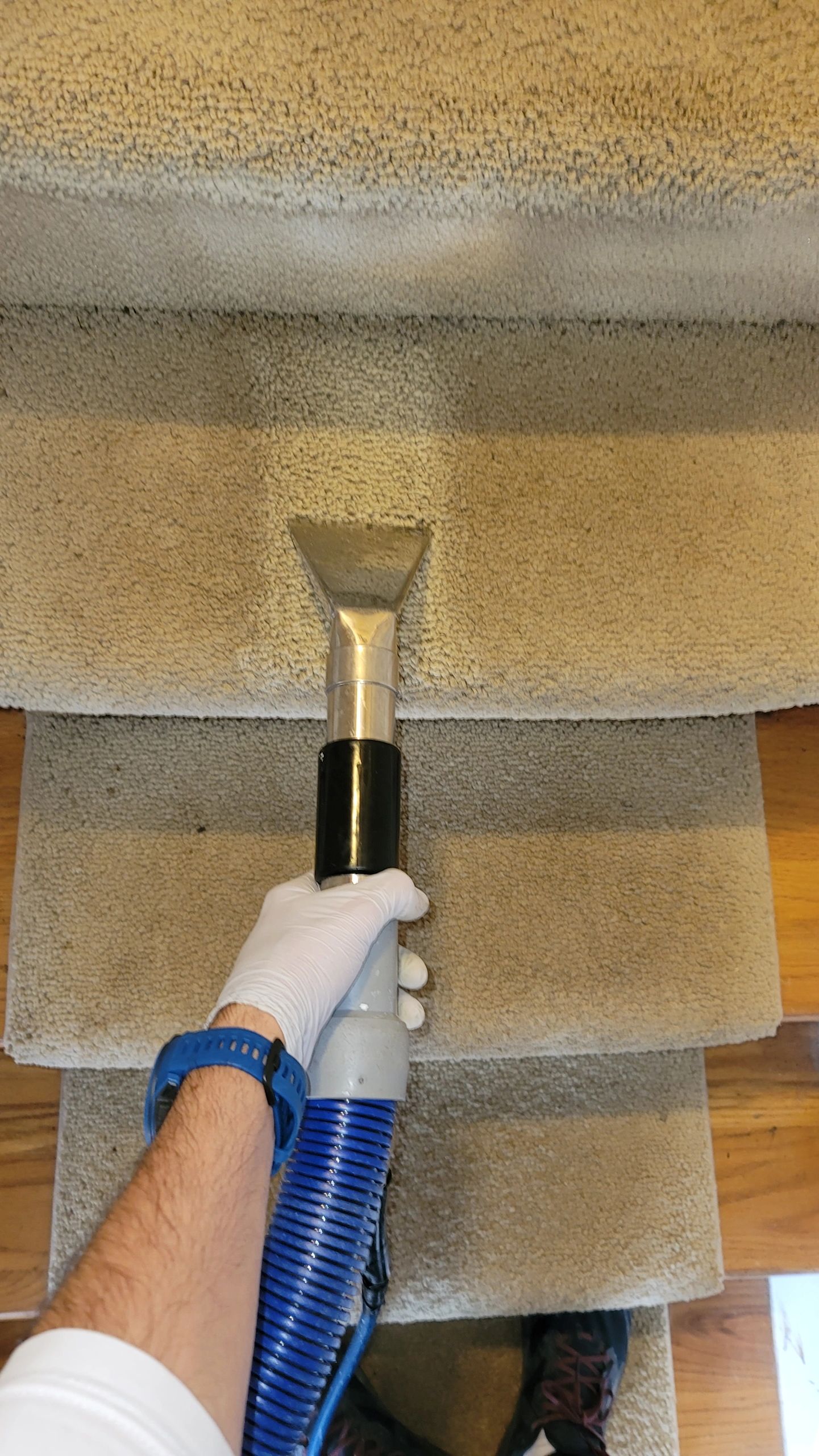 Steam Clean Carpet Cleaning