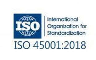 ISO 45001:2018 International Organization for Standardization The Safety Cat Audit