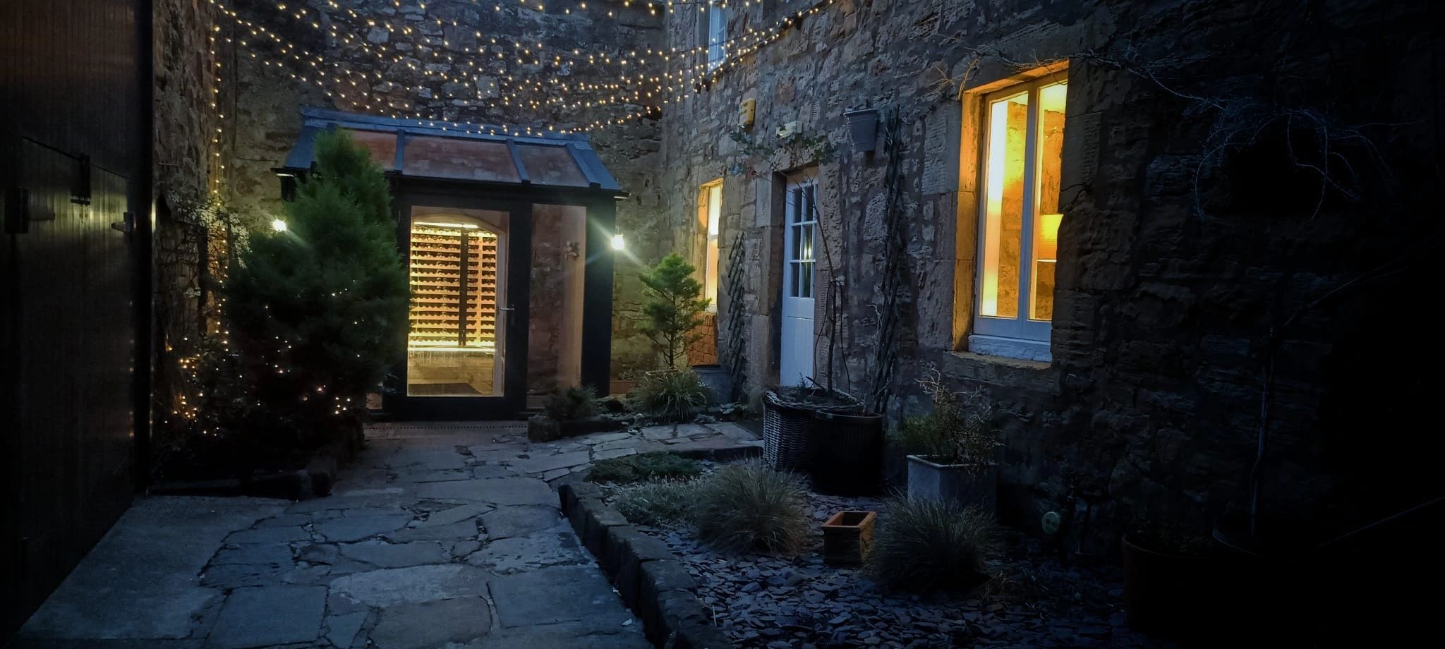 The Cellar at 24