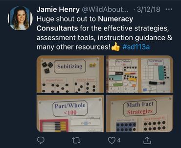 Numeracy Consultants reviews