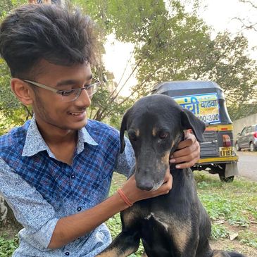 Paws Care Paws Care