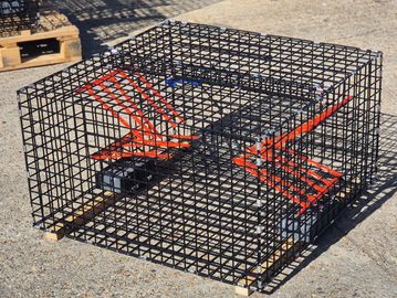 30x30x16.5" cuttlefish trap