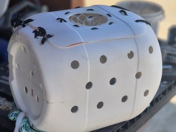 White plastic container with holes and latches.
