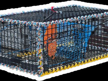 A colorful wire crab trap with rope edges.