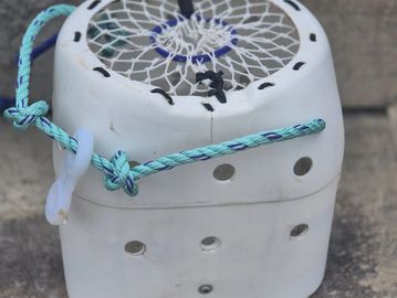 Stand up whelk pots