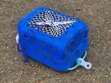 Blue plastic crab trap on a sandy surface.
