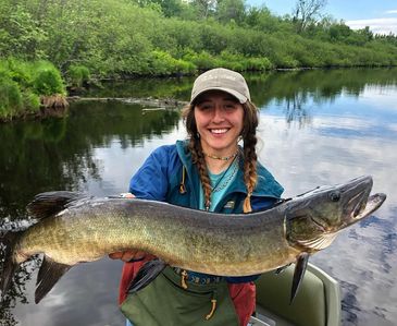 Musky. Musky fishing. Muskie. Muskies. Musky guide. Wisconsin Musky fishing. Wisconsin fishing guide.
