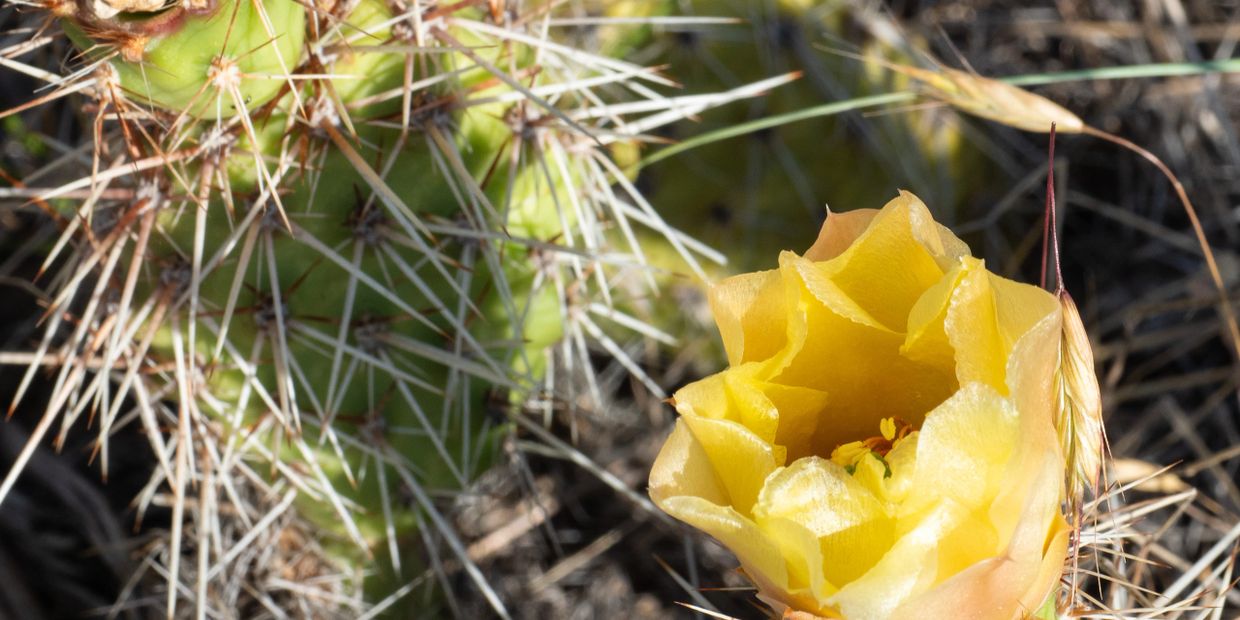 Weather In Helena 2024 U.S. Barefoot Waterski Championship
