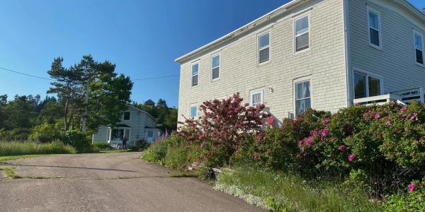 Sunny day at a quiet residential street with white houses and blooming bushes.