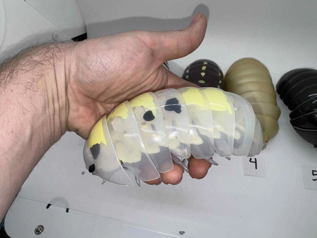 Bandai Dango Mushi Rare Isopod Figures Set 5