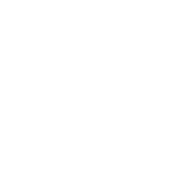Real Solutions