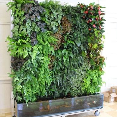 Mobile vertical garden with diverse green plants on wheels indoors.