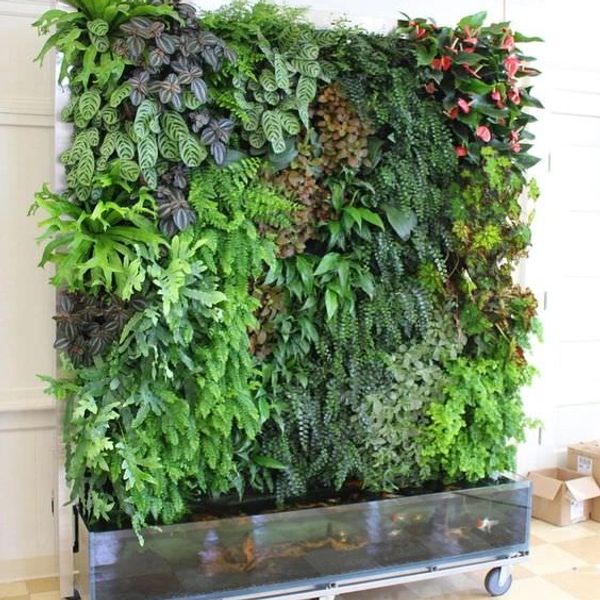 Mobile vertical garden with diverse green plants on wheels indoors.