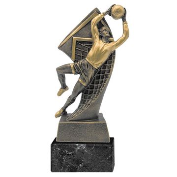 Trofeos de valla menos batida - Trofeos - Tienda de trofeos 