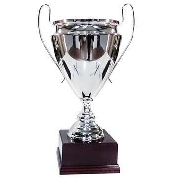 Copa champions 