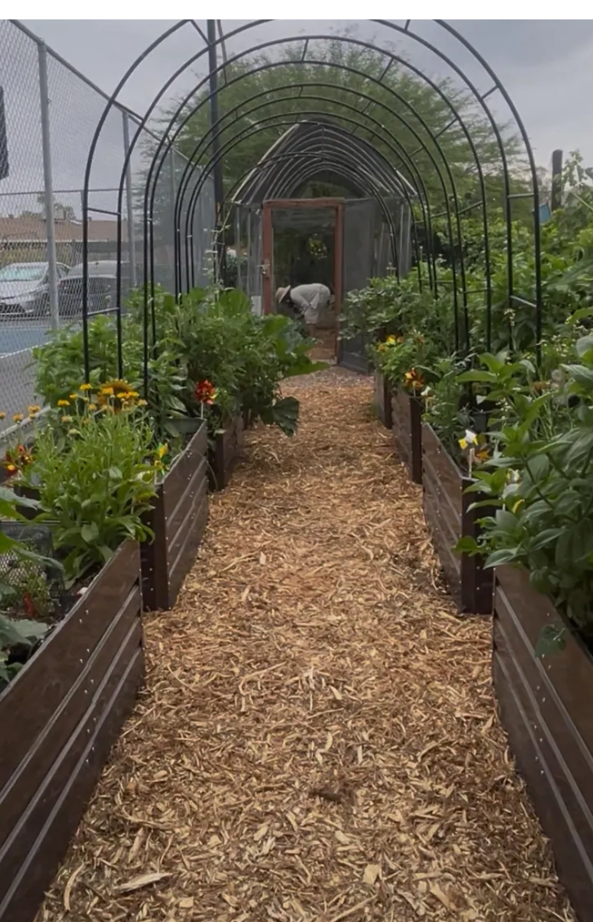 Get Garden Help from Community Harvest Community Gardens