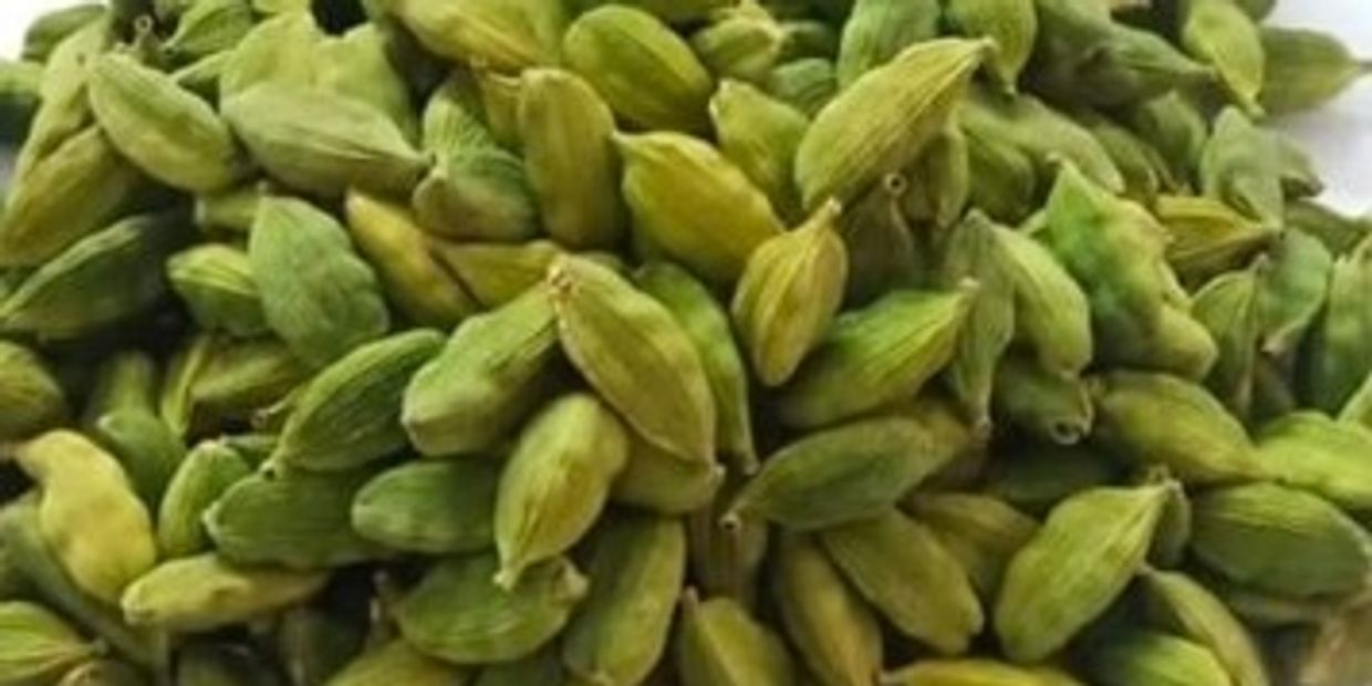 Premium Export Cardamom Elaichi 