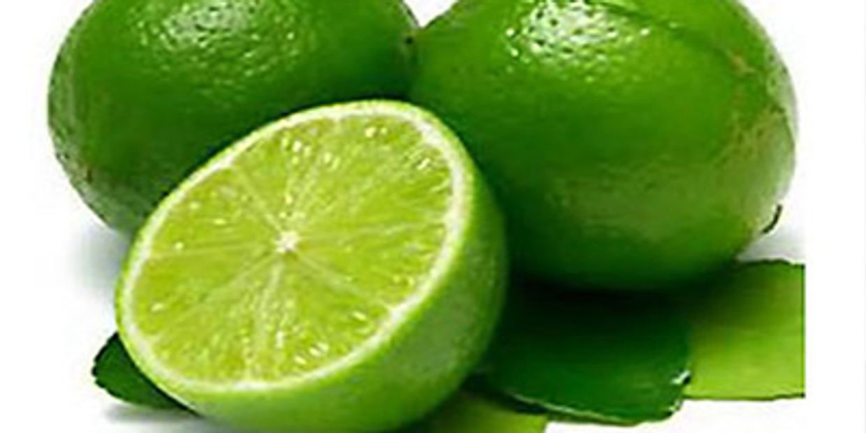  Premium Export Lemons 