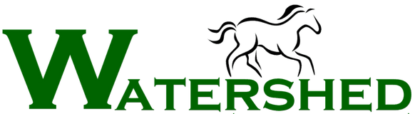 Steve Williams - MBA, Broker Associate