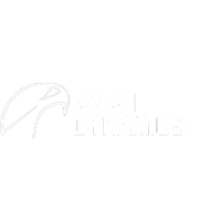 Avian Dynamics