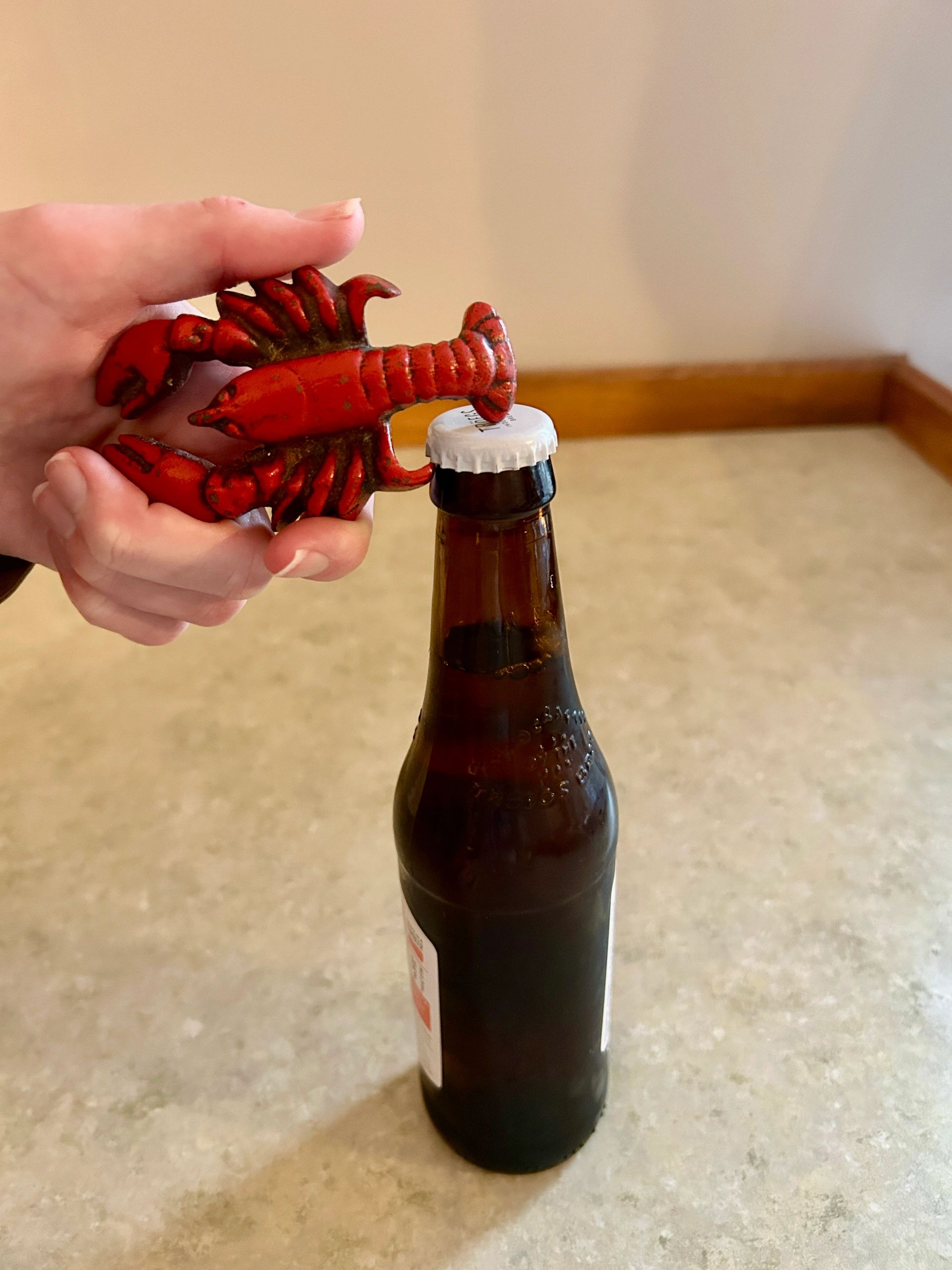 Parrot Cast Iron Bottle Opener Patina Collector Pirate Tropical Treasure Island