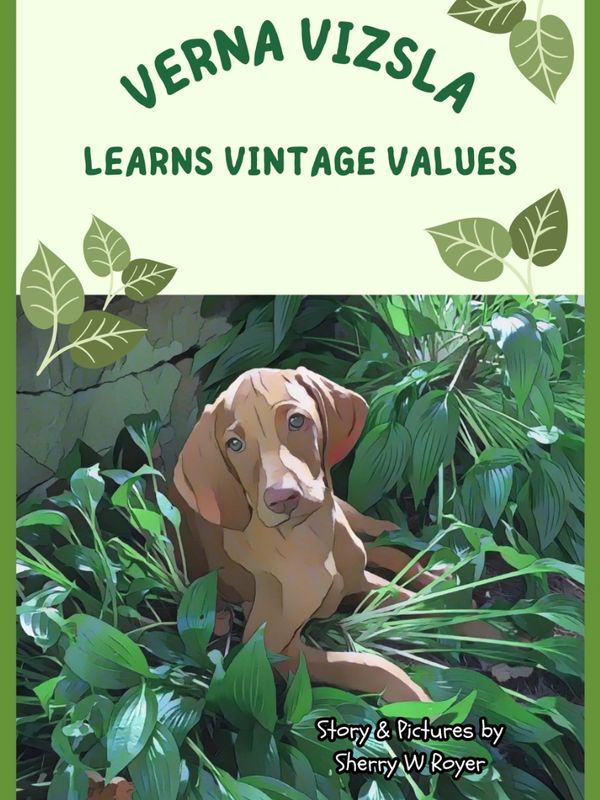 Verna Vizsla Learns Vintage Values