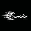 Stylized word 'Envidia' with flame design on black background.