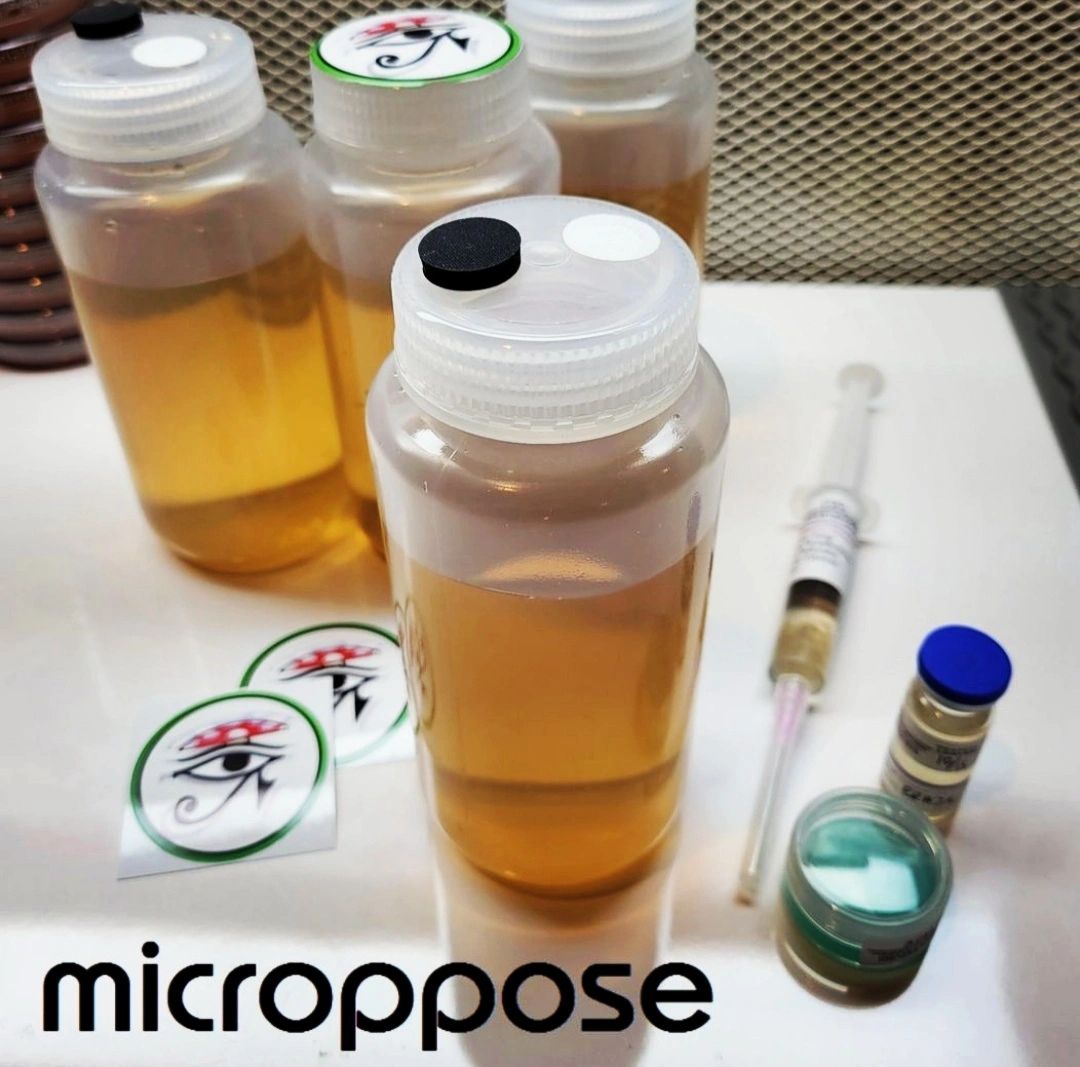 Creating Liquid Culture Media A Guide to Speed and Efficiency