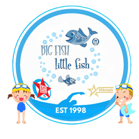 Big Fish Little Fish Swim School 